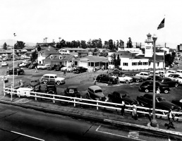 Farmer's Market 1950 #1